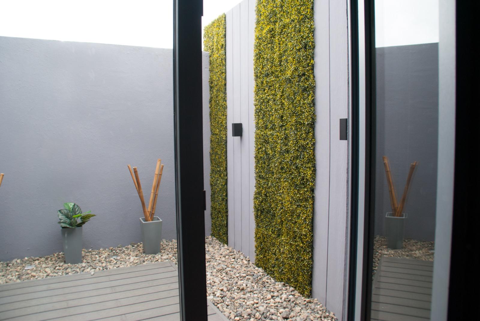 Patio interno con jardín vertical visto desde la ventana