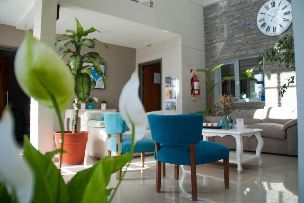Recepción con sillones, plantas y un reloj de pared